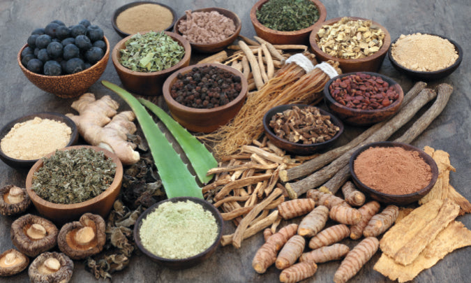 Adaptogens: Nature’s Balance