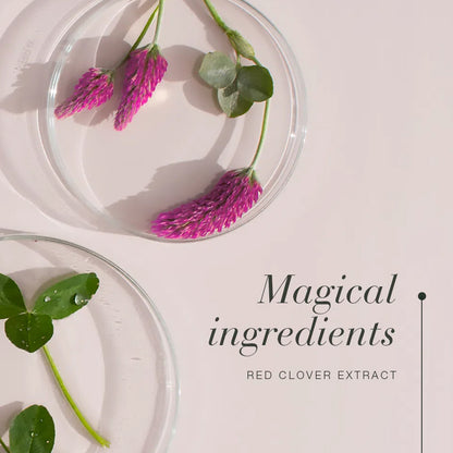 Glass plates with red clover flowers and leaves on a light pink background, labeled &