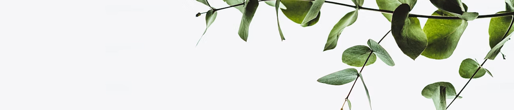 Evergreen Essentials