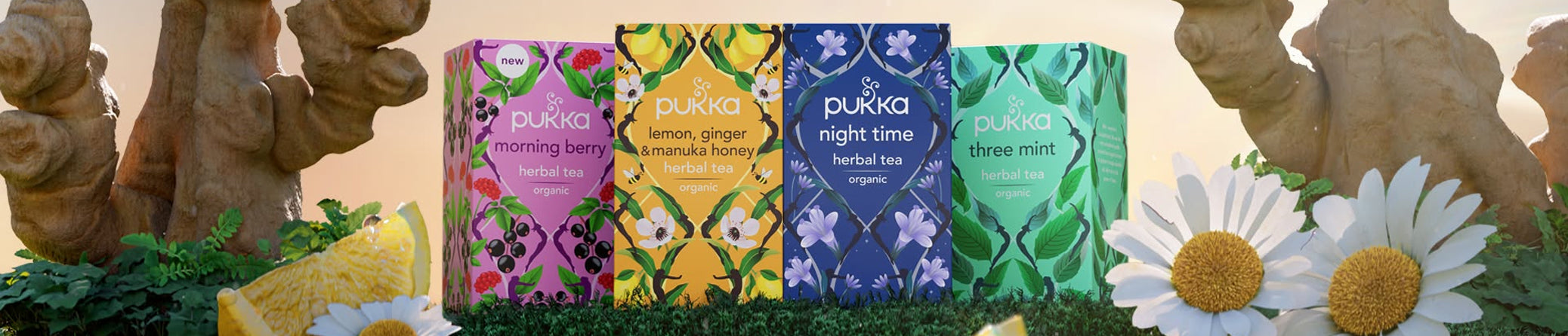 Four Pukka herbal tea boxes standing upright in a decorative arrangement with wooden bark, greenery, and white daisies. 