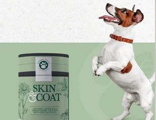 natural vet co and dog