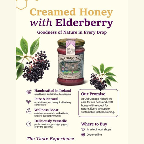 Old Cottage Honey Irish Cream Honey with Elderberry