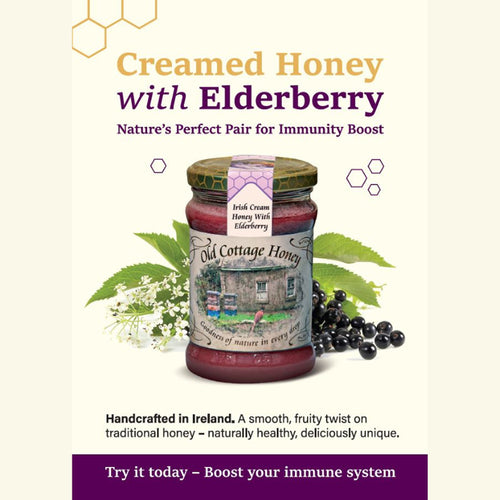 Old Cottage Honey Irish Cream Honey with Elderberry