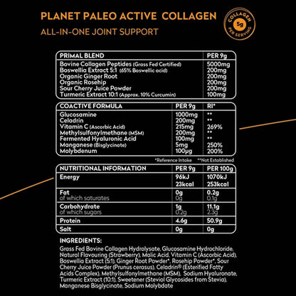 Planet Paleo Active Collagen ingredients