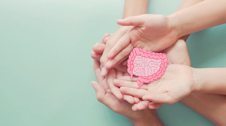 Hands of a family holding picture of the digestive tract