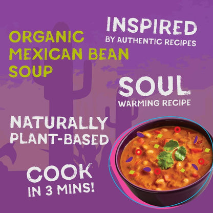 Really Interesting Food Company Organic Mexican Bean Soup