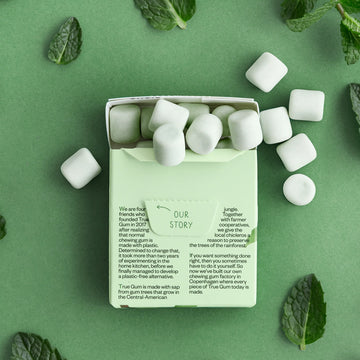 True Gum Mint Chewing Gum