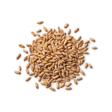 True Natural Goodness Organic Spelt Grain