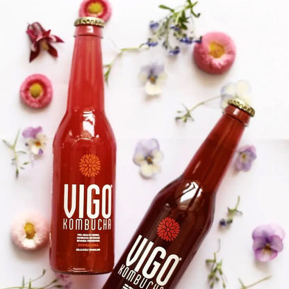 Vigo Lightbrew Kombucha Acai