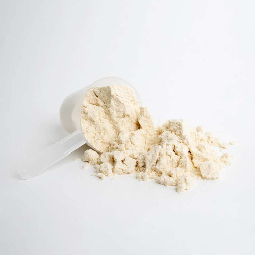 Vilgain Grass Fed Whey Protein unflavoured texture