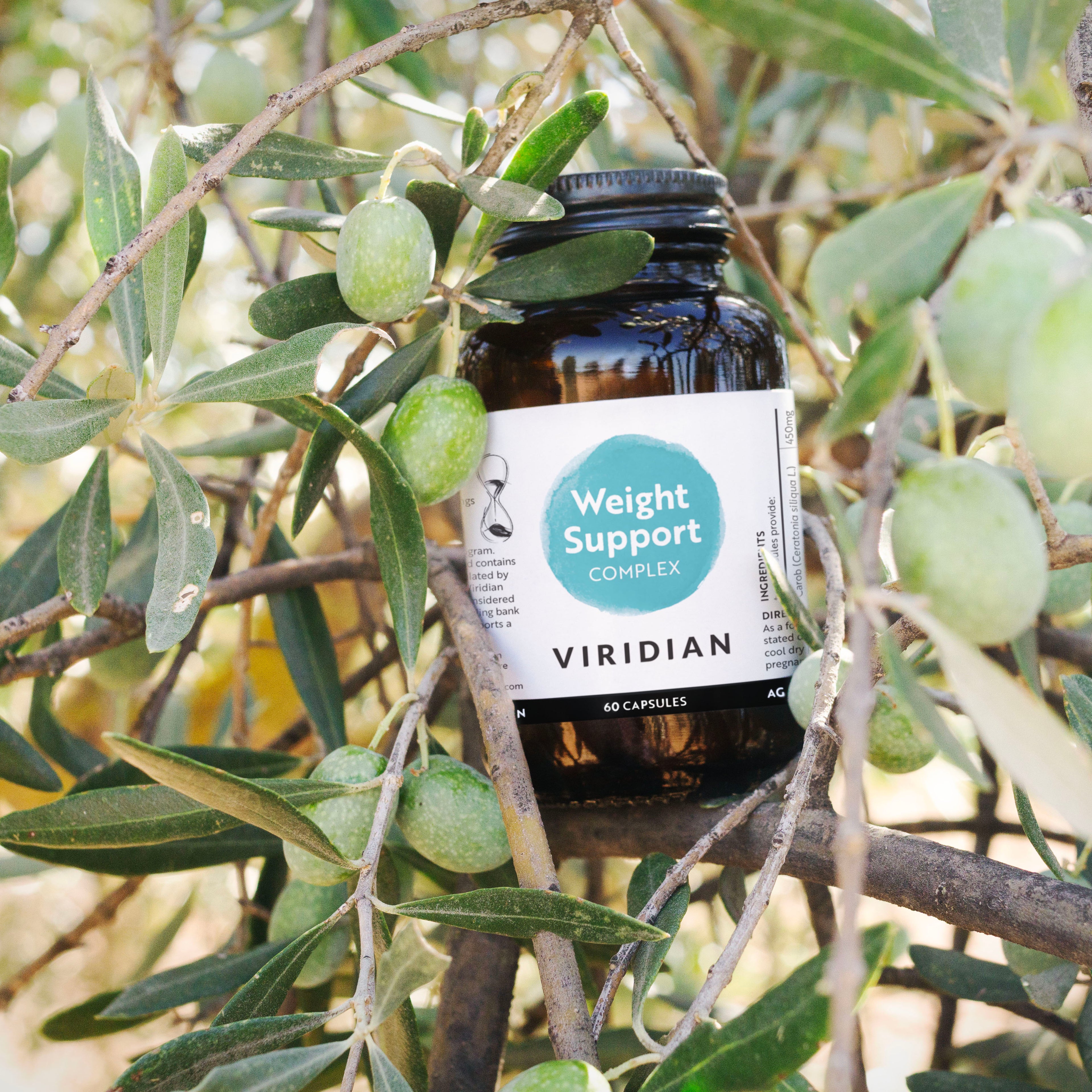 Viridian Weight Support Complex