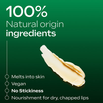 Weleda Skin Food Lip Stick