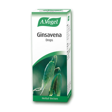 A. Vogel Ginsavena