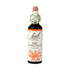 Bach Original Flower Remedies Red Chestnut