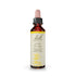 Bach Original Flower Remedies Gorse