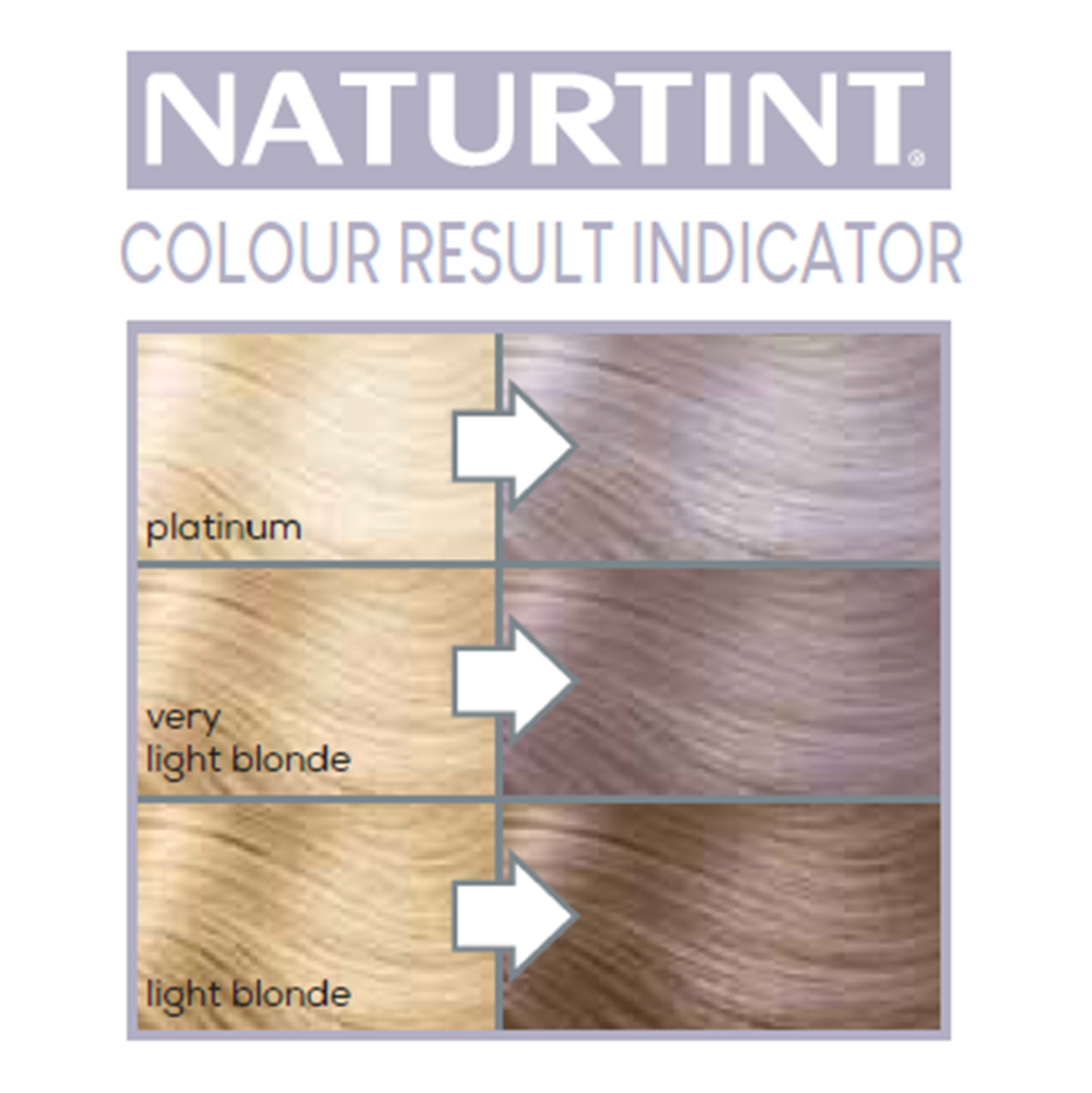 Naturtint Silver Permanent Hair Colour