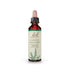 Bach Original Flower Remedy Agrimony