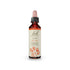 bottle of Bach Original Flower Remedy Aspen