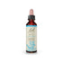 Bach Original Flower Remedy Beech &