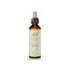 bottle of Bach Original Flower Remedy Chestnut Bud