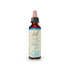 Bach Original Flower Remedy Chicory