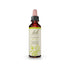 Bach Original Flower Remedy Clematis