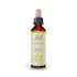 Bach Original Flower Remedy Honeysuckle