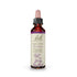 Bach Original Flower Remedy Impatiens