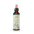 bottle of Bach Original Flower Remedy Walnut