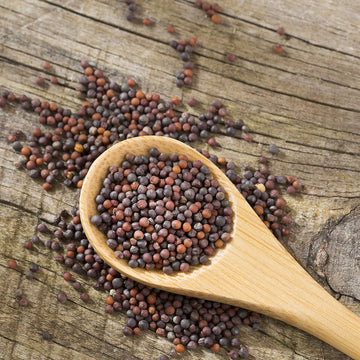 True Natural Goodness Organic Mustard Seeds