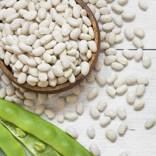 True Natural Goodness Organic Haricot Beans