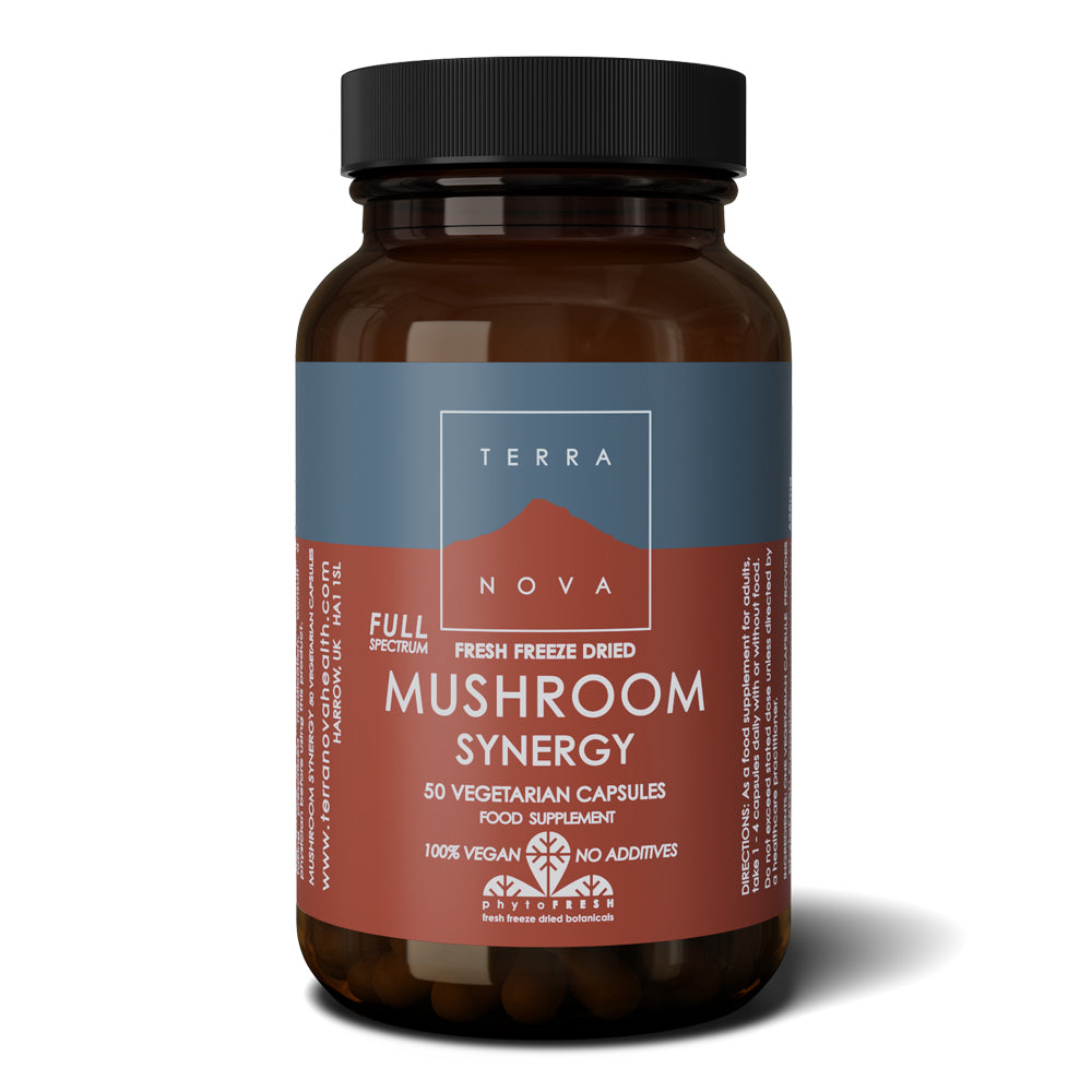 Terranova Mushroom Synergy Super-Blend Powder