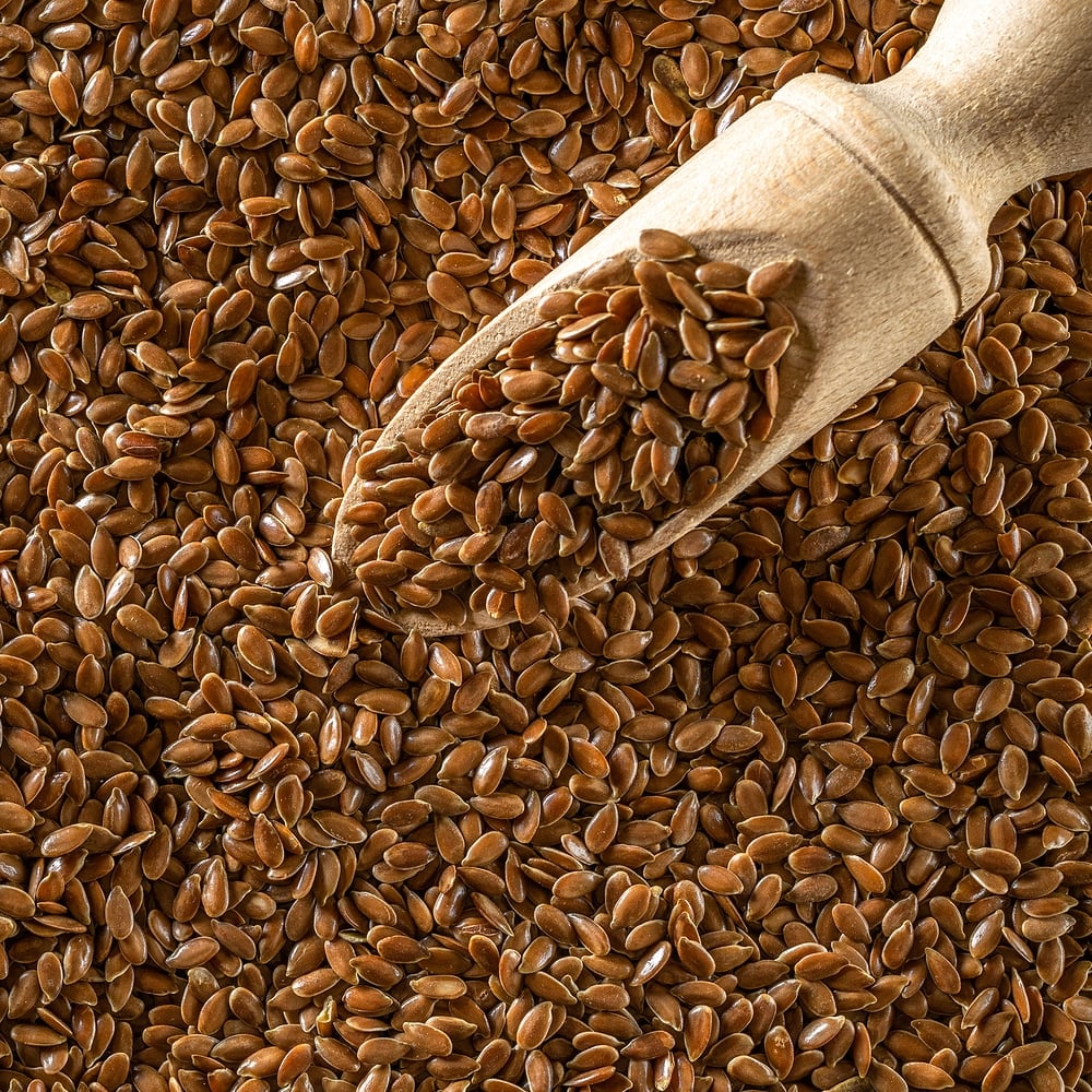 Linseed Picture True Natural Goodness Organic Brown Linseed | Evergreen
