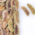 True Natural Goodness Senna Pods
