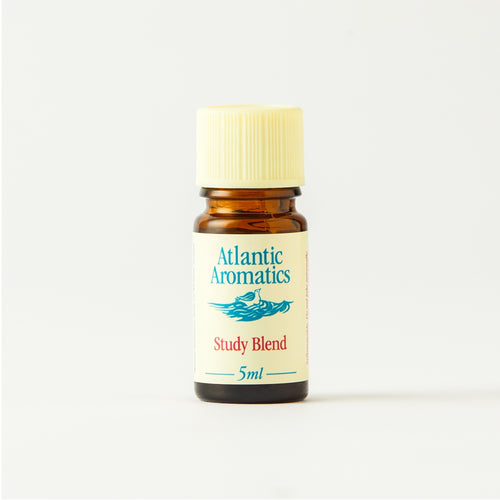 bottle of Atlantic Aromatics Study Blend